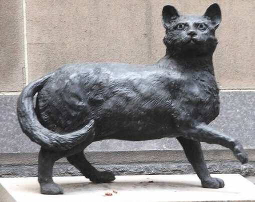 History australian matthew flinders cat