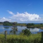 Taken at Bongaree, western side near Tully Street