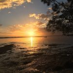 Whitepatch Sunset
