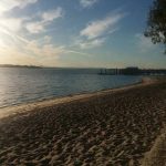 Brennan park