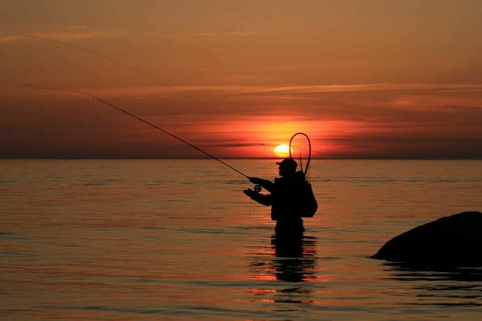 fishing bribie island queensland tide times