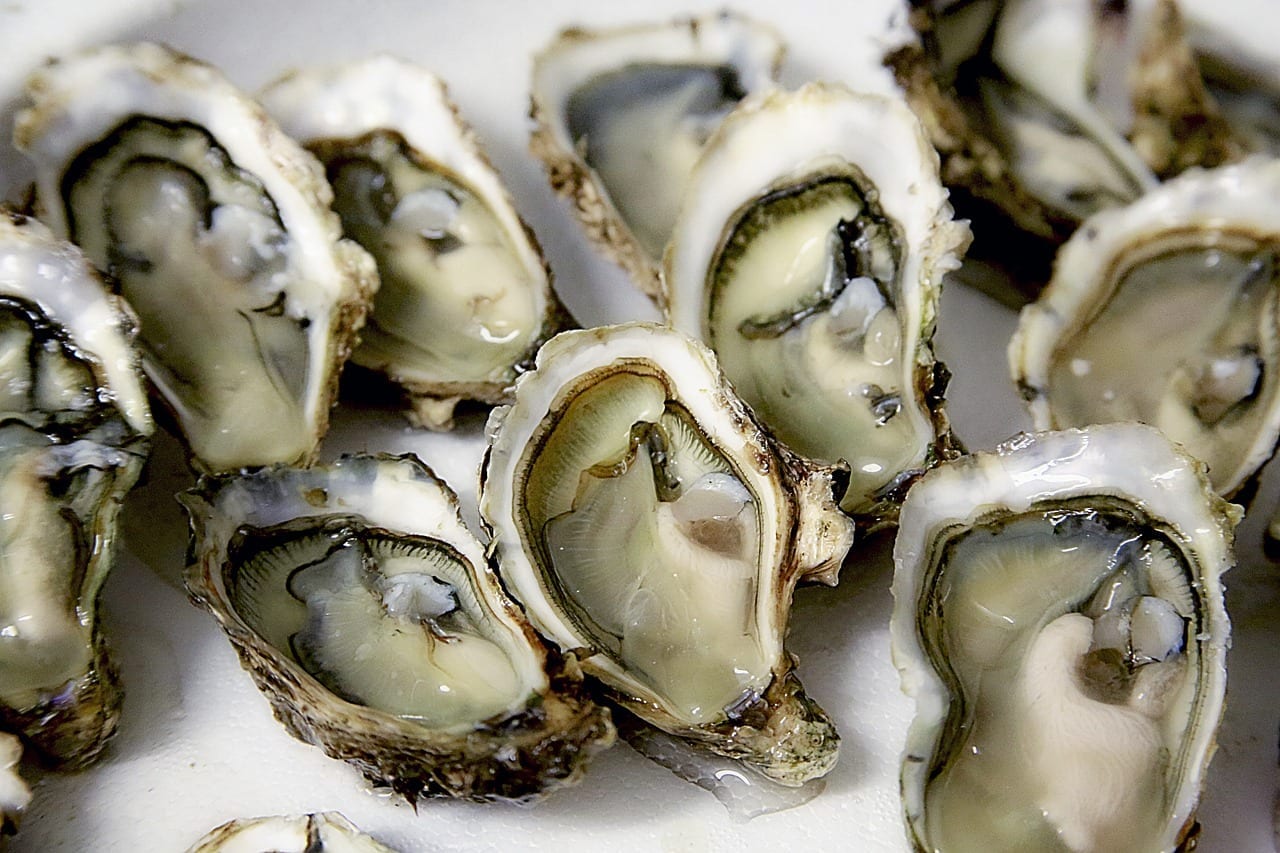 Chilli. Cheese. Oysters Kilpatrick. Recipe. Food