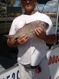 Fishing report. Fishing spots. Tide Times. Bribie Island. Moreton Bay. Brisbane.