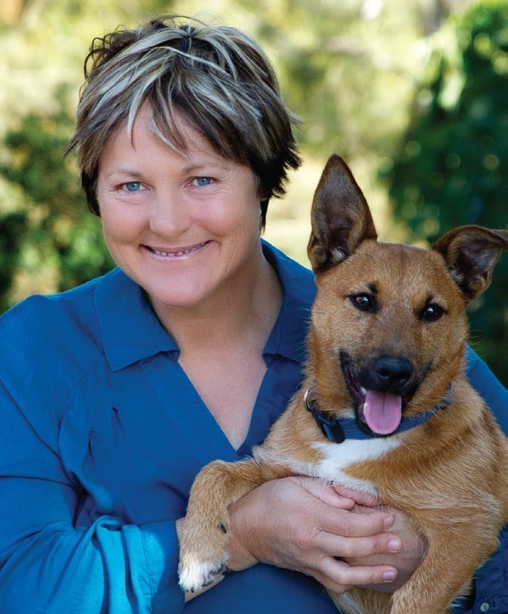 Pet care. Pets. Dog Parks. Bribie Island. Brisbane. Veterinary advice.