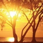 Travel Destinations. Tourism. Australia. Queensland. Forrest Beach