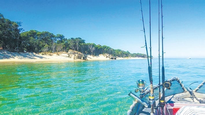 Fishing report. Tide times. Fishing spots. Bribie island. Moreton Bay. Brisbane. Queensland