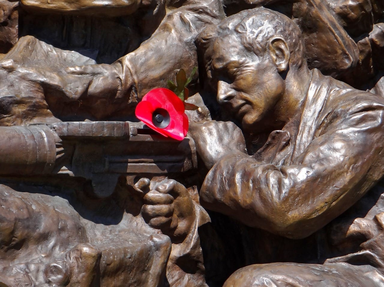 war history poppies