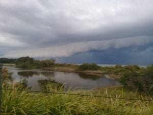 sever thunderstorm queensland videos and pictures