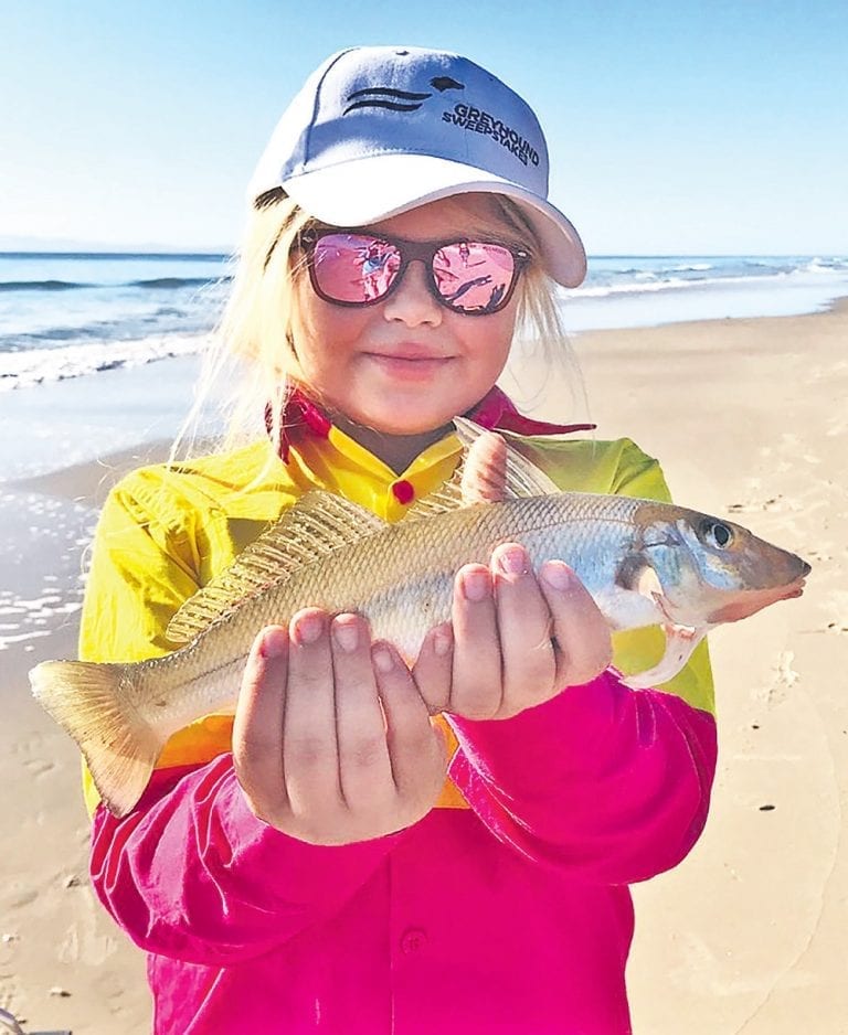 Fishing Report and tide times Bribie Island – Oct 2018