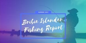 Bribie siland fishing report tide times moreton bay brisbane