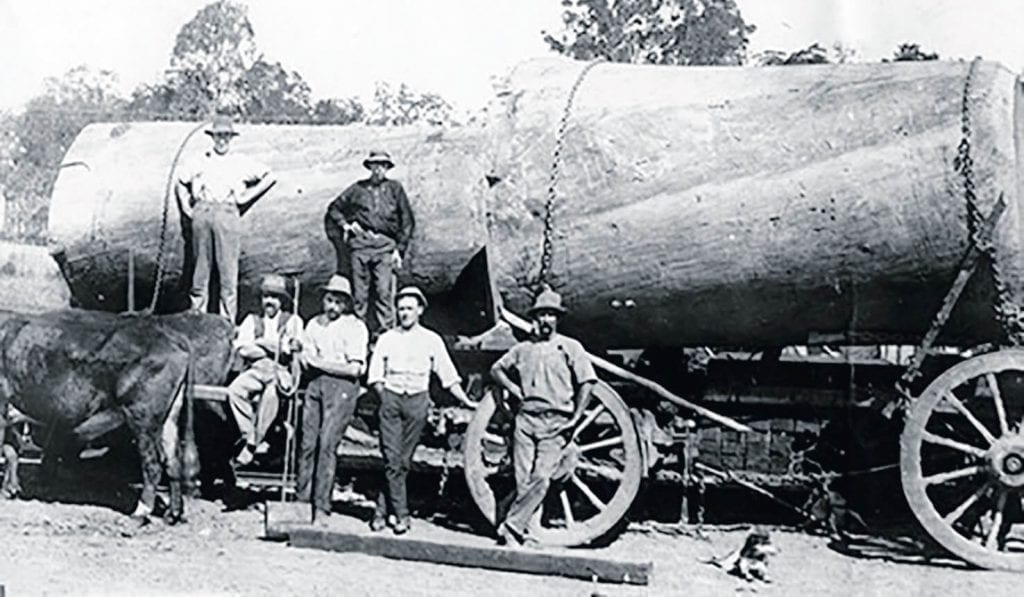 History EARLY TIMBER INDUSTRY ….beside Bribie 140 Years ago. The