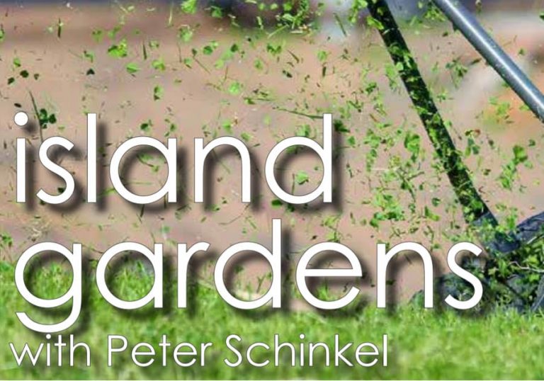Island Gardens with Peter Schinkel
