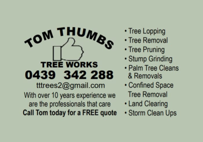 Tom Thumbs Tree Works