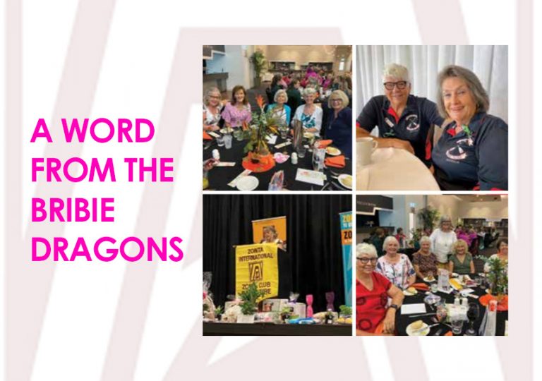 A Word From The Bribie Dragons