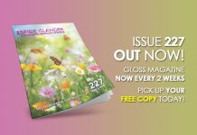 The Bribie Islander Gloss Magazine November 1, 2024 Issue 227