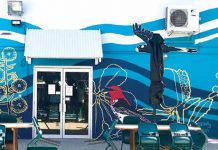 The Bribie (Yarun) Arts Centre Mural