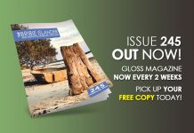 issue 245