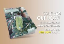 issue 264