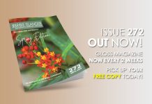 The Bribie Islander Gloss Magazine September 11, 2026 Issue 272 issue 272