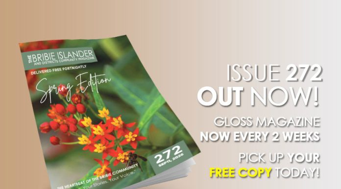 issue 272
